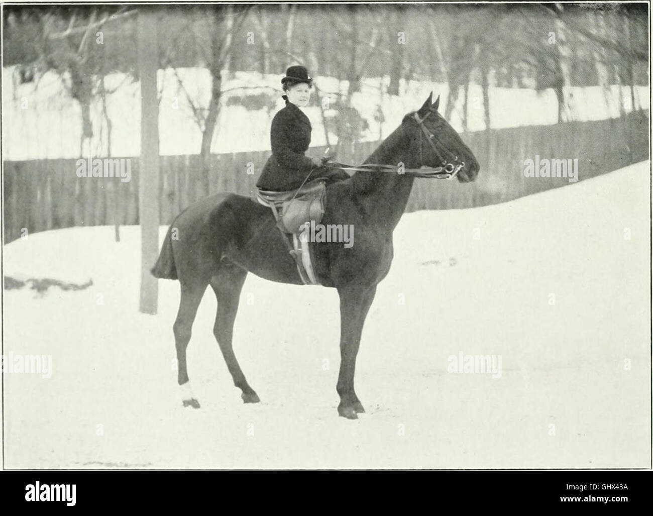 This 1909 work presents brief sketches of Canadians devoted to horses ...