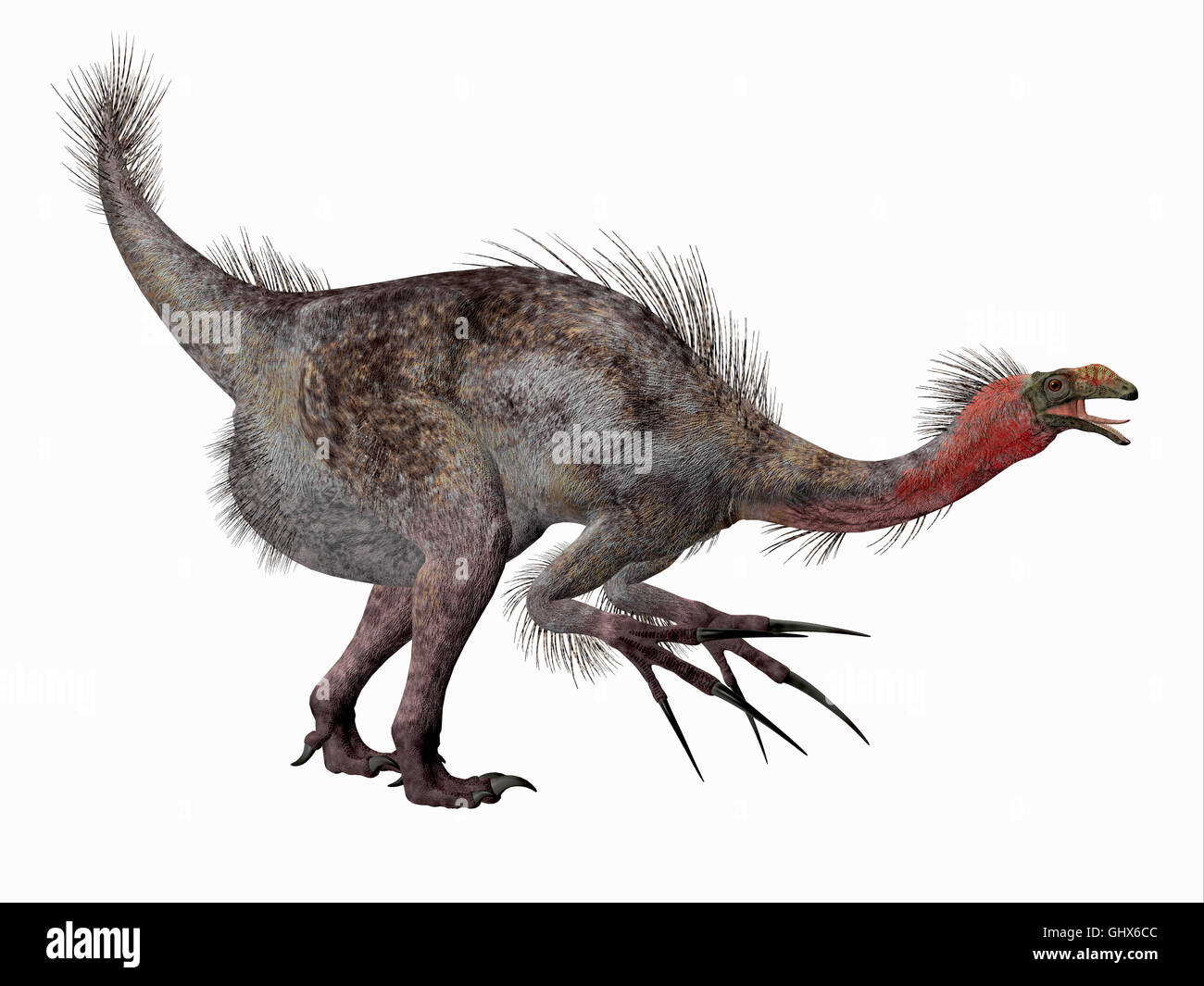 Therizinosaurus was a carnivorous theropod dinosaur that lived in the