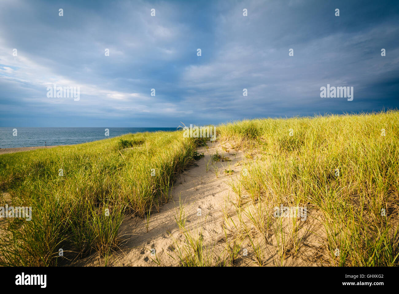 Sand dunes and grasses at Race Point, in the Province Lands at Cape Cod National Seashore, Massachusetts. Stock Photo
