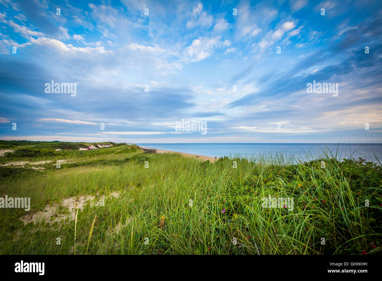 Sand dunes and view of Herring Cove Beach, in the Province Lands at Cape Cod National Seashore, Massachusetts. Stock Photo