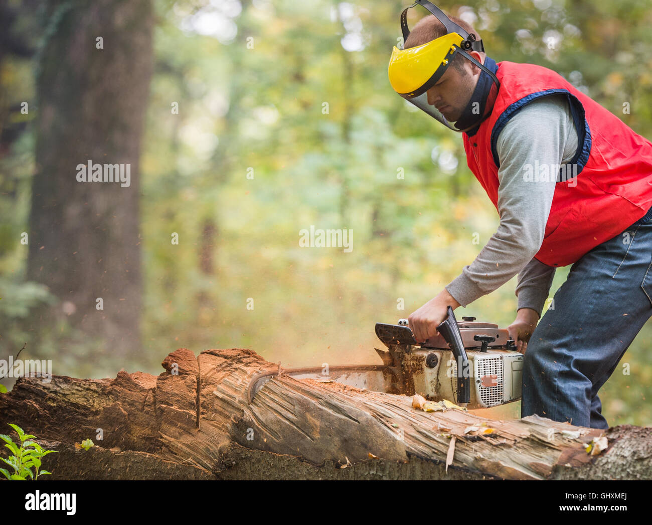 Chainsaw man power hi-res stock photography and images - Alamy