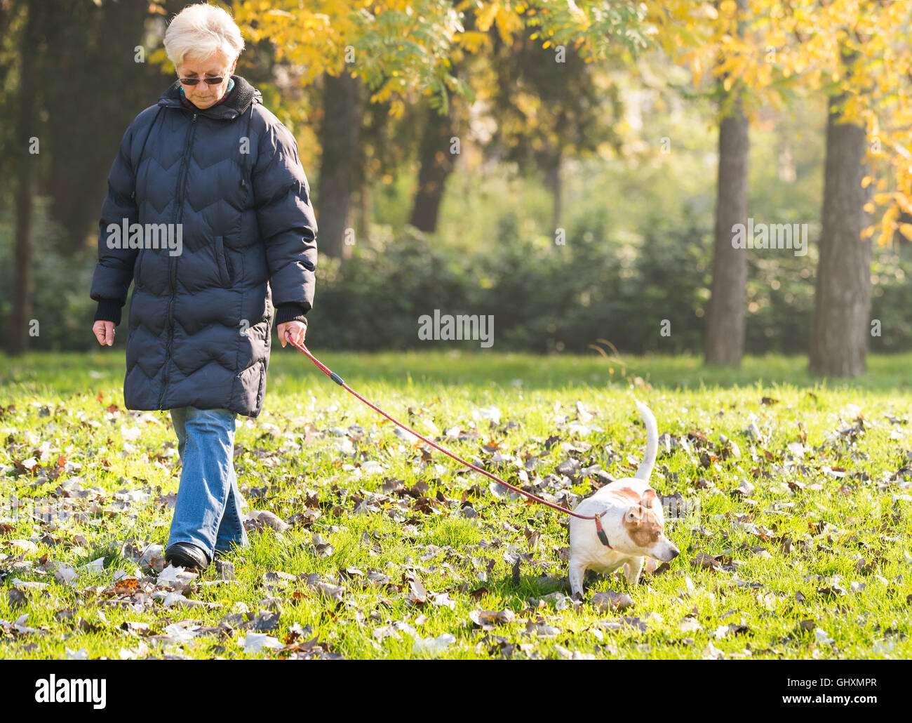Old woman walking dog hi-res stock photography and images - Alamy