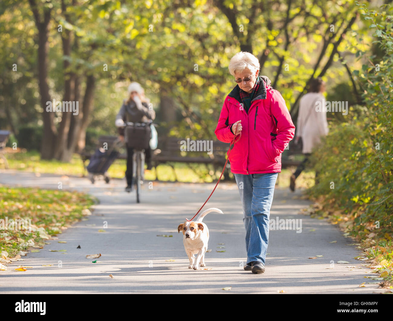 Old woman walking a dog hi-res stock photography and images - Alamy