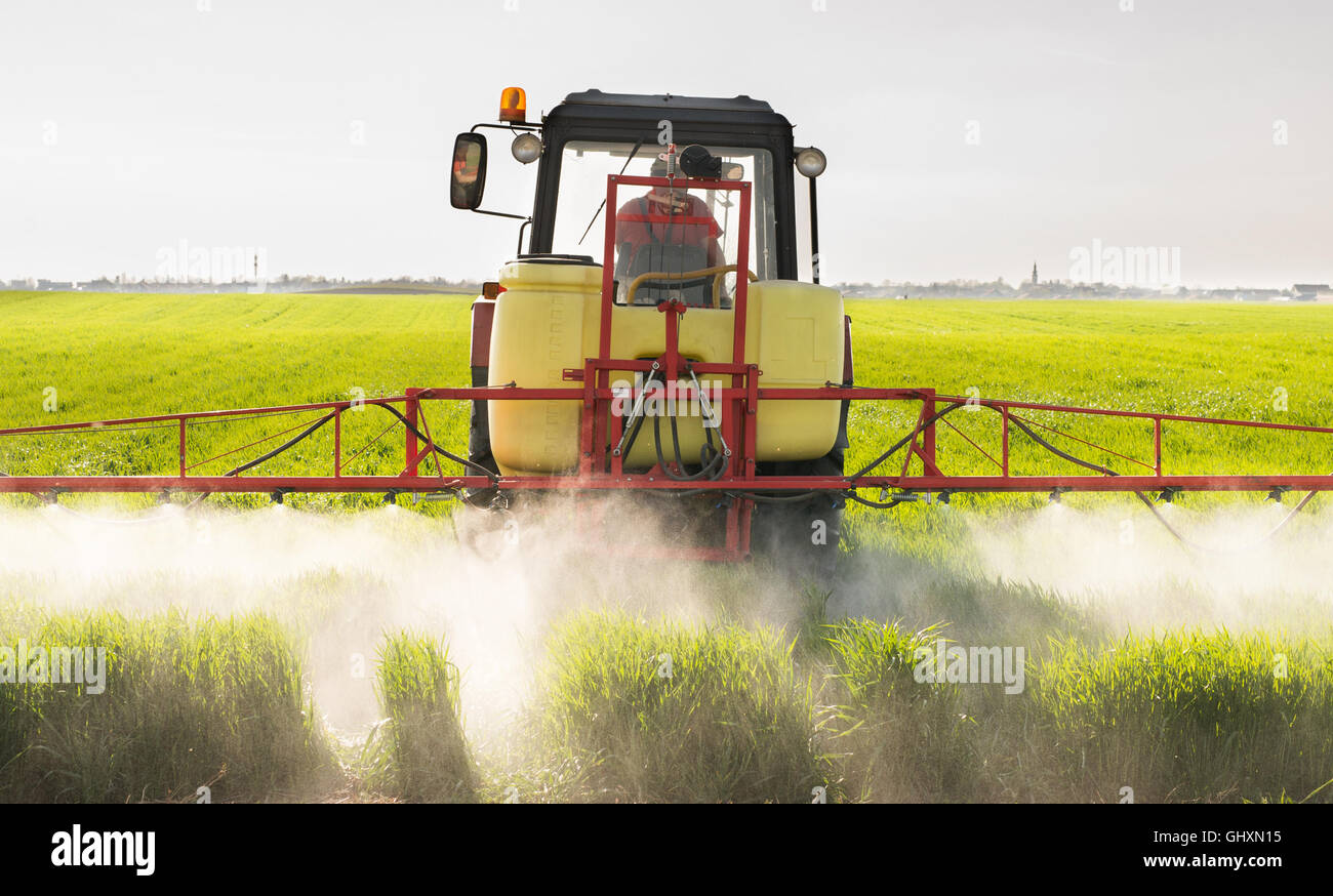 Tractor spraying wheat field with sprayer Stock Photo