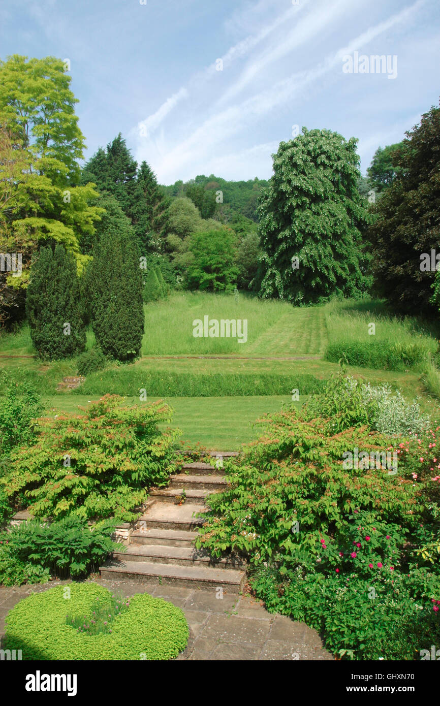 Large lawned garden surrounded by mature trees Stock Photo - Alamy