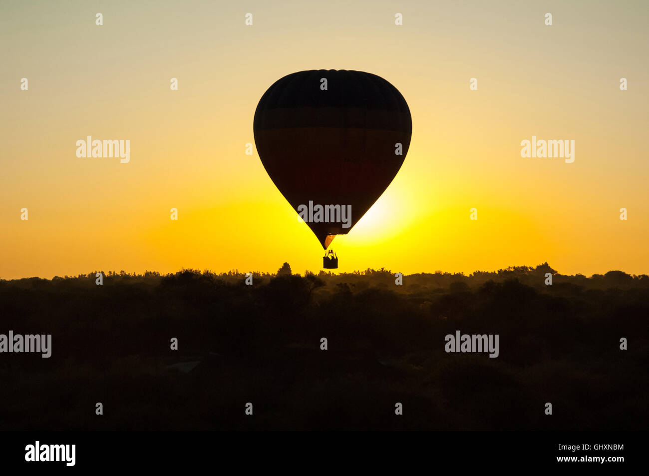 silhouette of hot air balloon in cloudless sky at sunrise over misty African plain Stock Photo