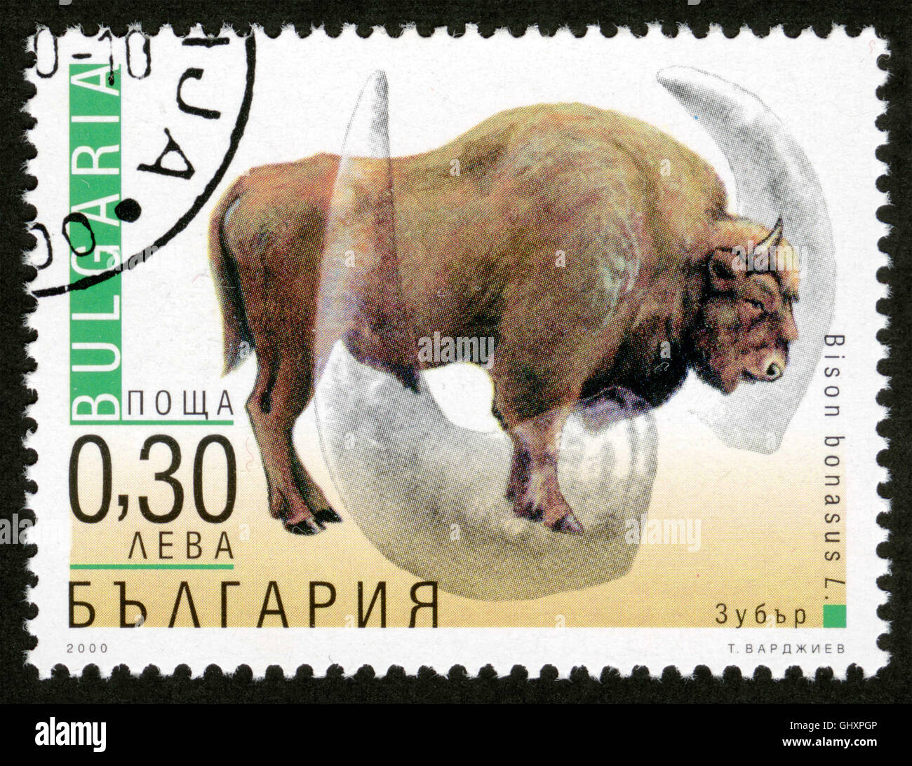 Bulgaria, post mark,stamp, ,aurochs, animals Stock Photo