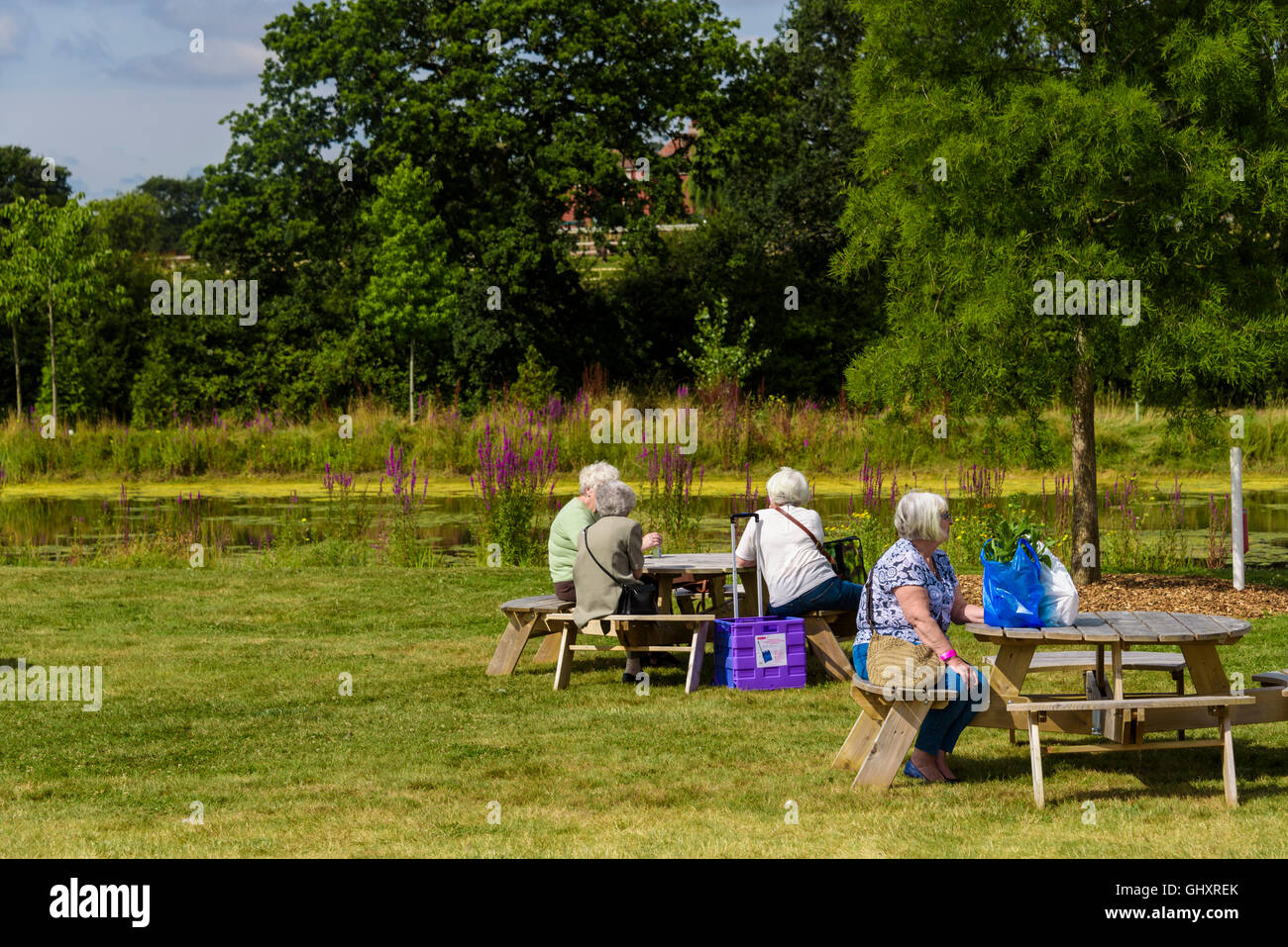 Senior ladies resting at a flower show, with some of their plant purchases. Stock Photo