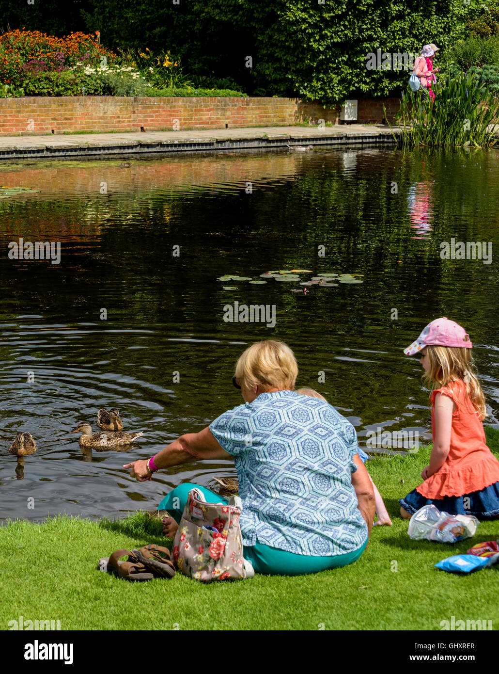 Feeding ducks by a pond Stock Photo Alamy