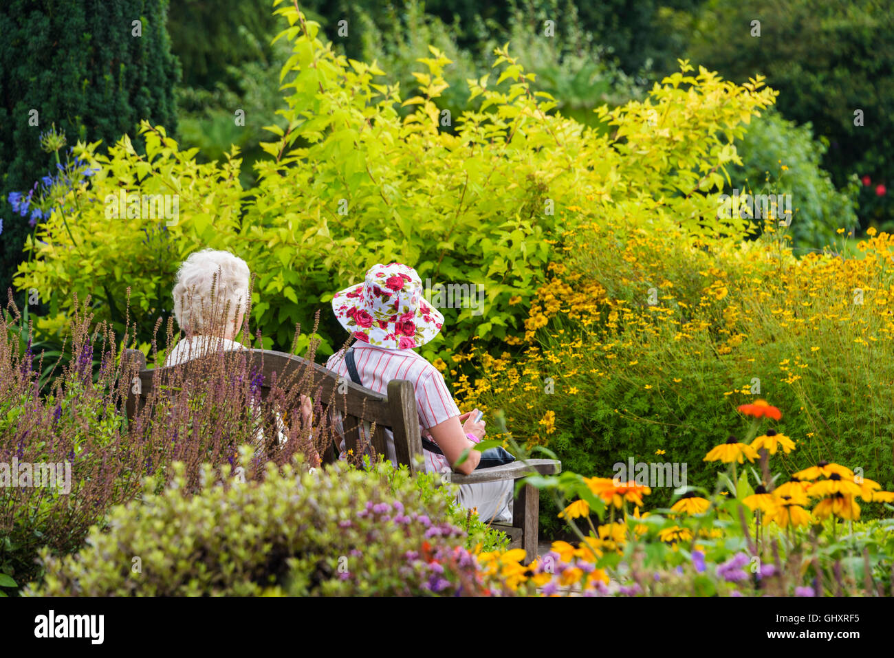 Two senior ladies relaxing amongst the colourful flower borders. Stock Photo