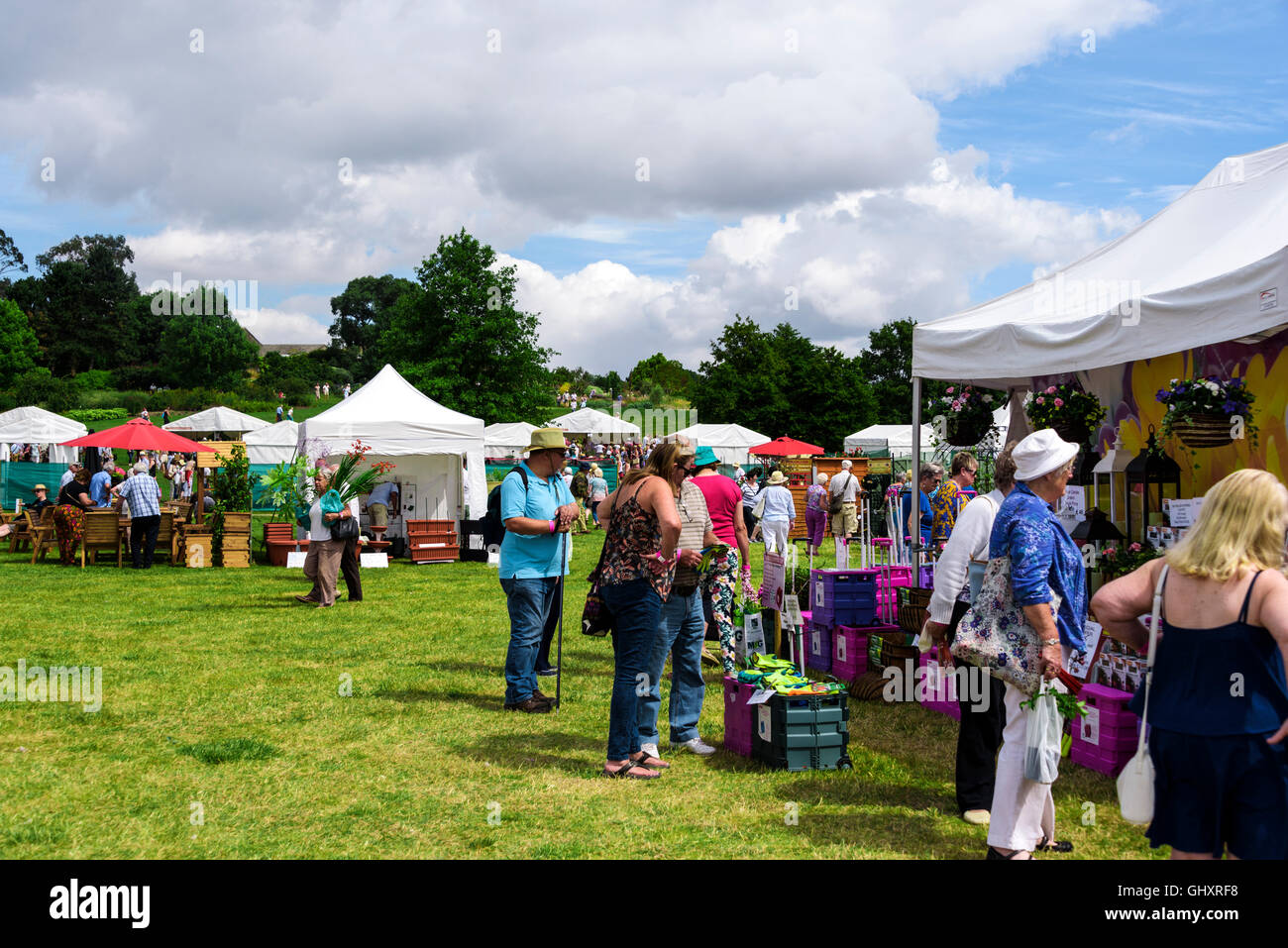 RHS Hyde Hall flower summer show. Stock Photo