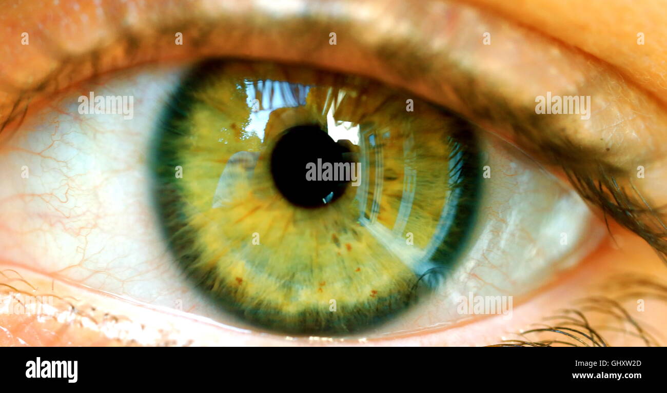 set of human eyeballs with green iris isolated on white background Stock  Photo - Alamy