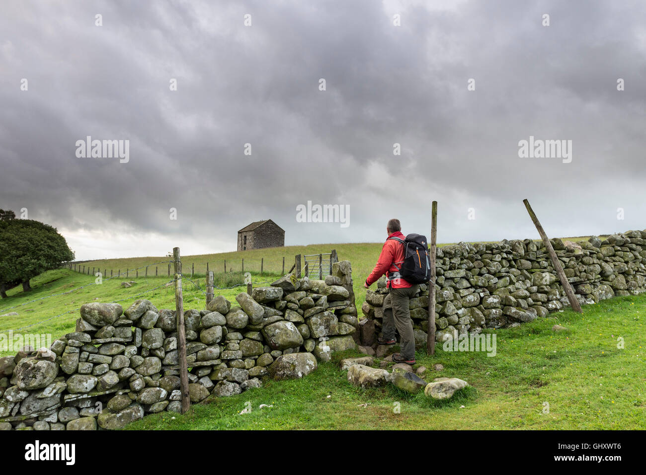 Walker on the Path Between Low Force and Holwick with Traditional Stone Barn in the Background Upper Teesdale, County Durham, UK Stock Photo