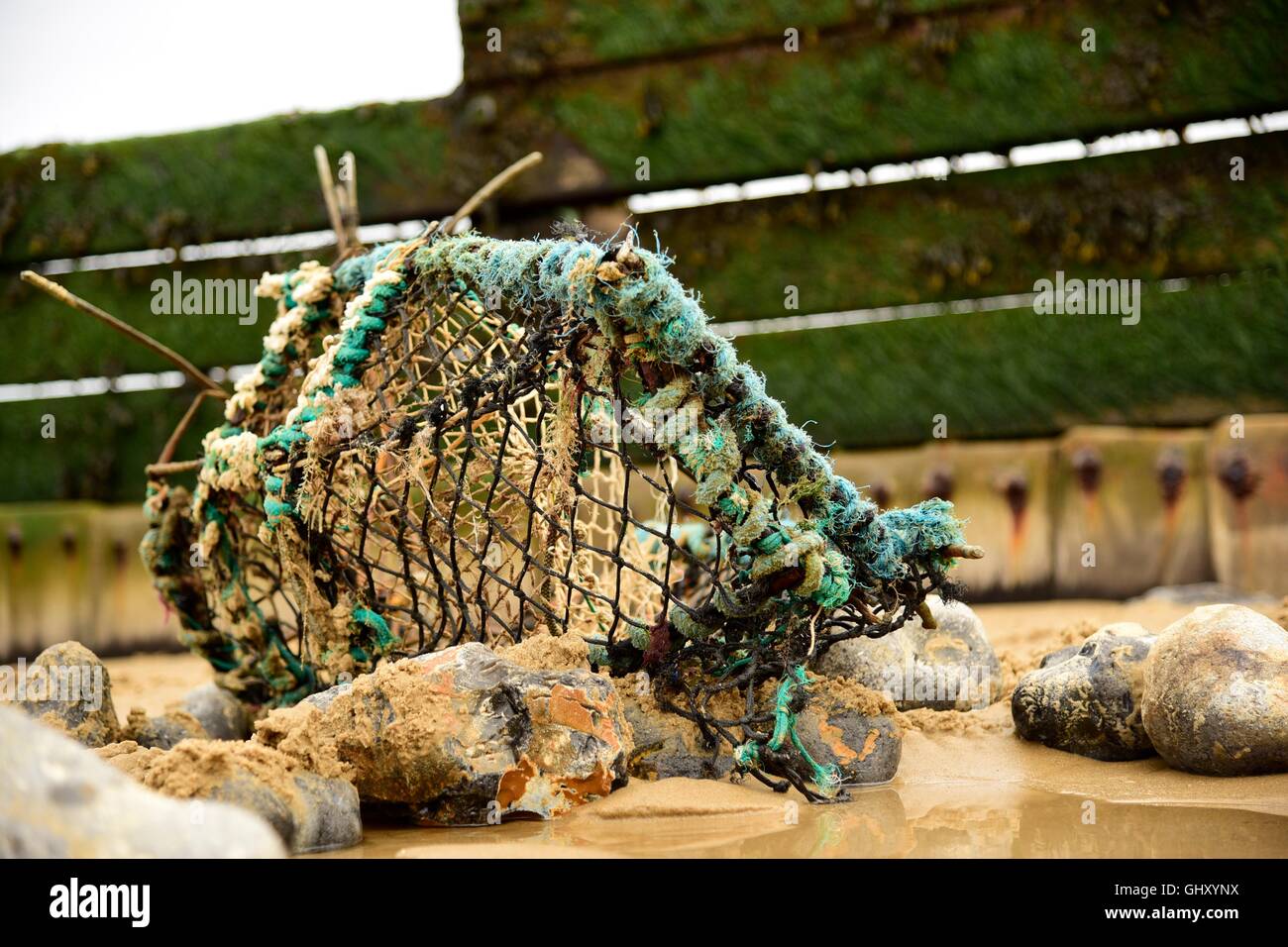 Old crabbing basket Stock Photo - Alamy