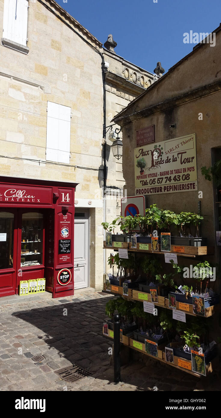 Saint Emilion Bordeaux wine region France EU Stock Photo - Alamy