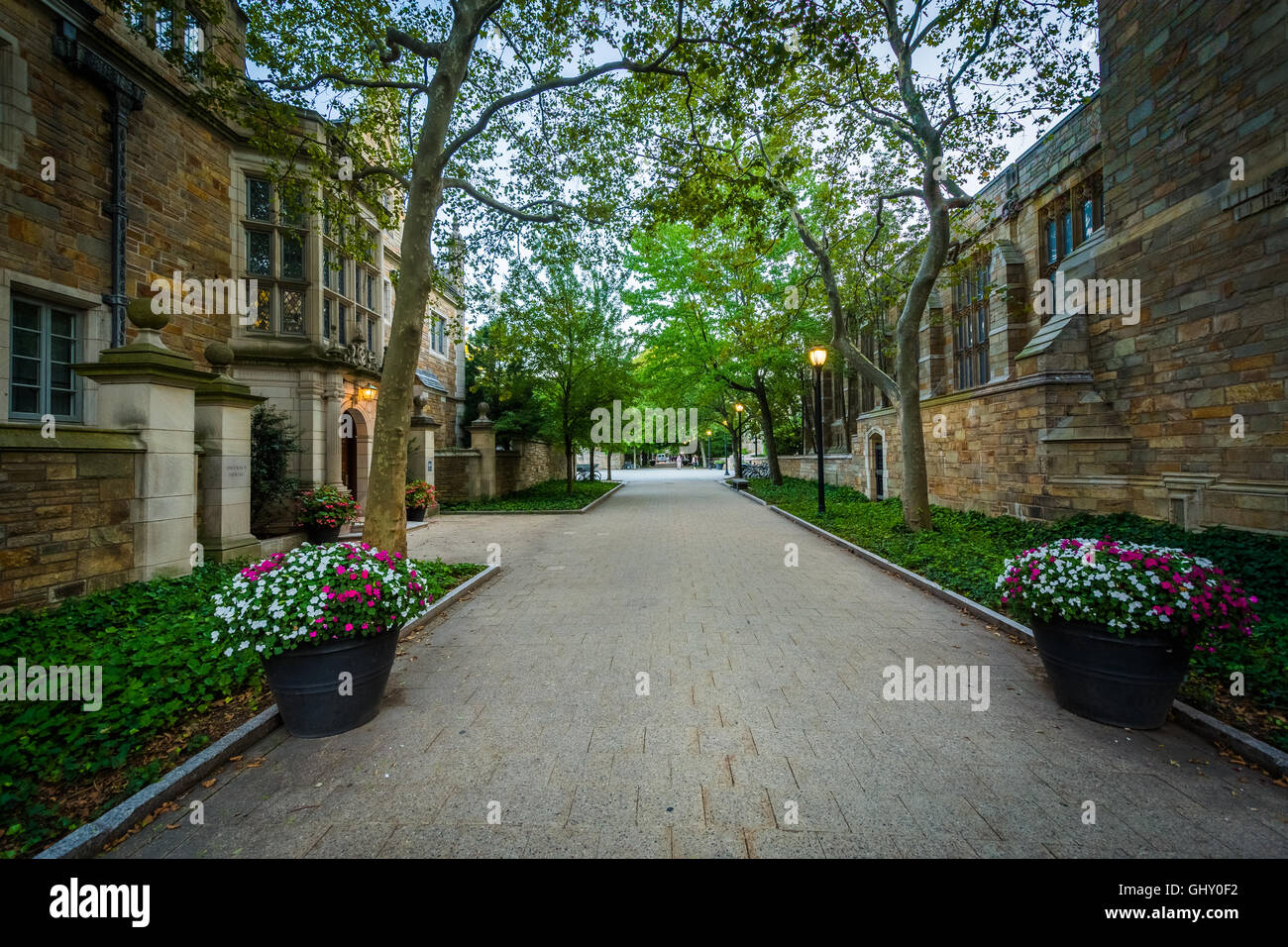 The Rose Walk, on the campus of Yale University, in New Haven, Connecticut. Stock Photo