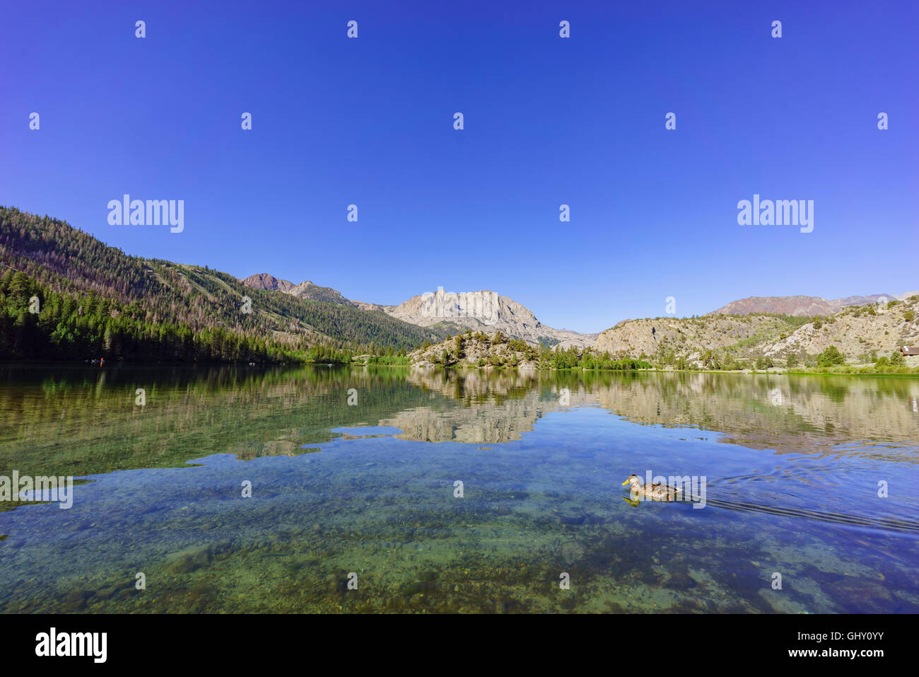 The beautiful Gull Lake in June Lake Loop Stock Photo Alamy