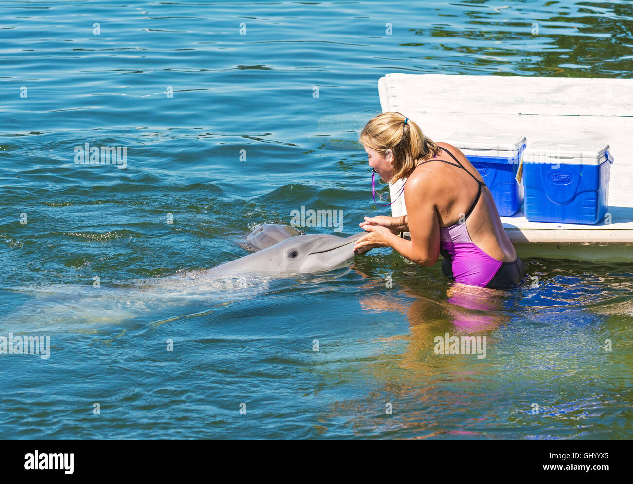 Florida Keys, Grassy Key, Dolphin Research Center, dolphin trainer Stock Photo
