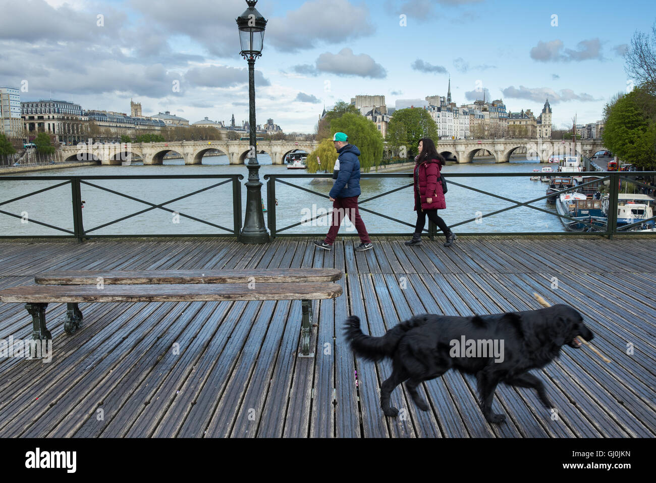 a dog with a stick on the Pont des Arts, Paris, France Stock Photo