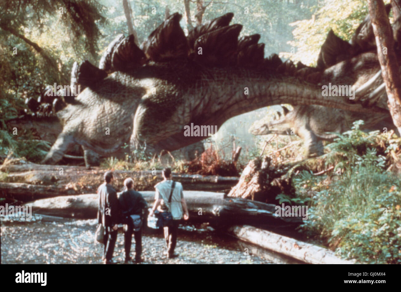VERGESSENE WELT: JURASSIC PARK- Ian Malcolm (JEFF GOLDBLUM), Eddie Carr (RICHARD SCHIFF) und Nick Van Owen (VINCE VAUGH) kommen einer Herde Stegosaurier gefährlich nahe Regie: Steven Spielberg aka. The Lost World: Jurassic Park Stock Photo