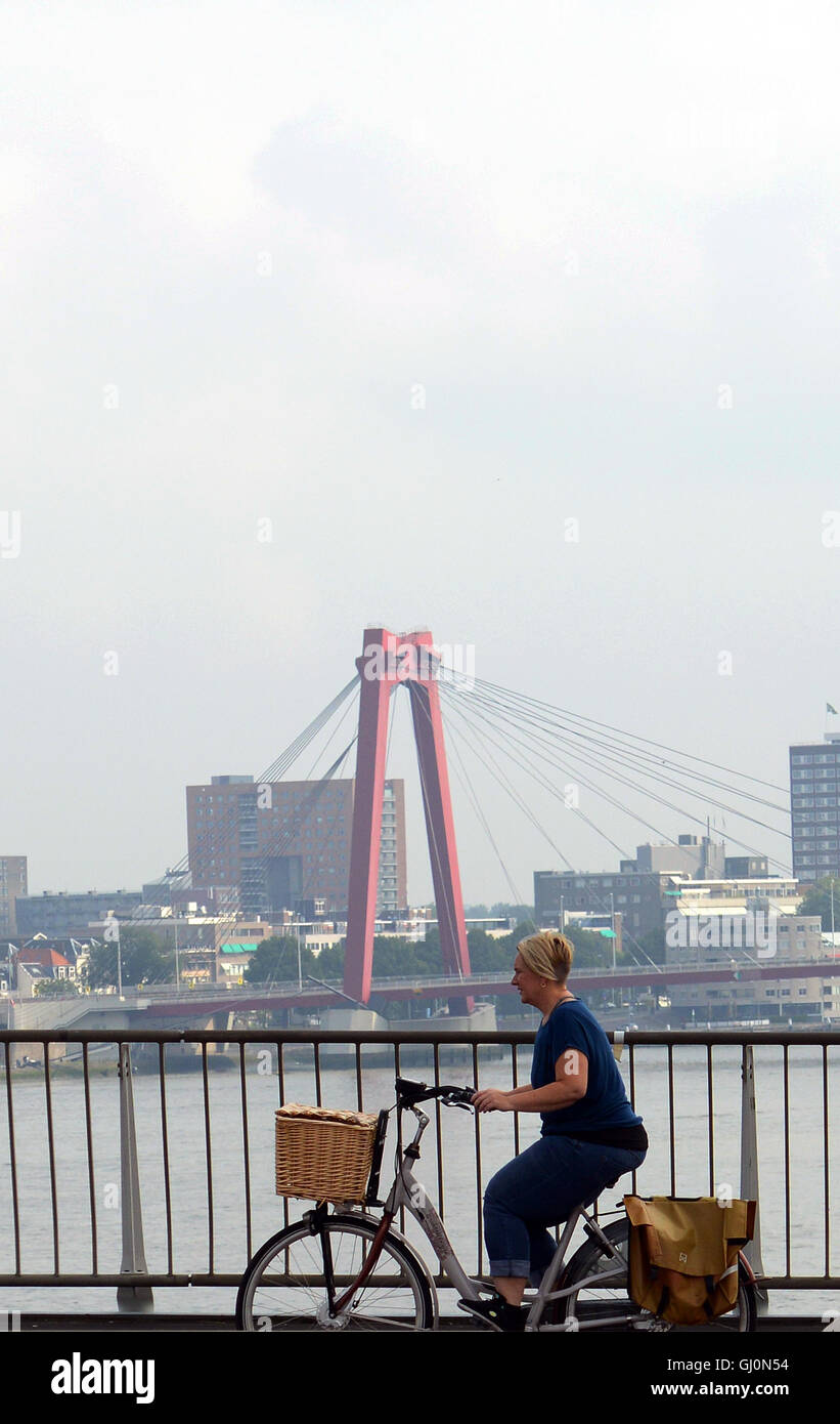 A Dutch woman cycling on the Erasmus bridge, Willems bridge in the background. Stock Photo