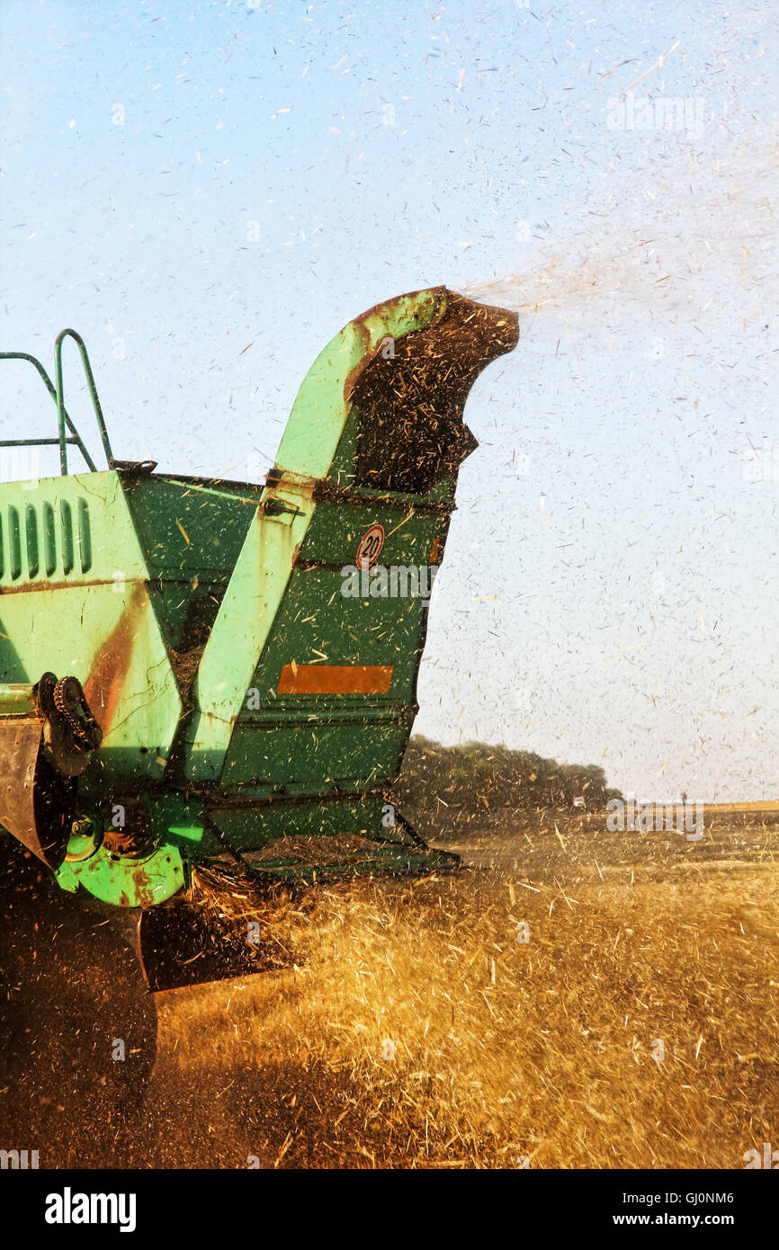 Combine harvester machine tractor in agriculture field.Back view taken ...