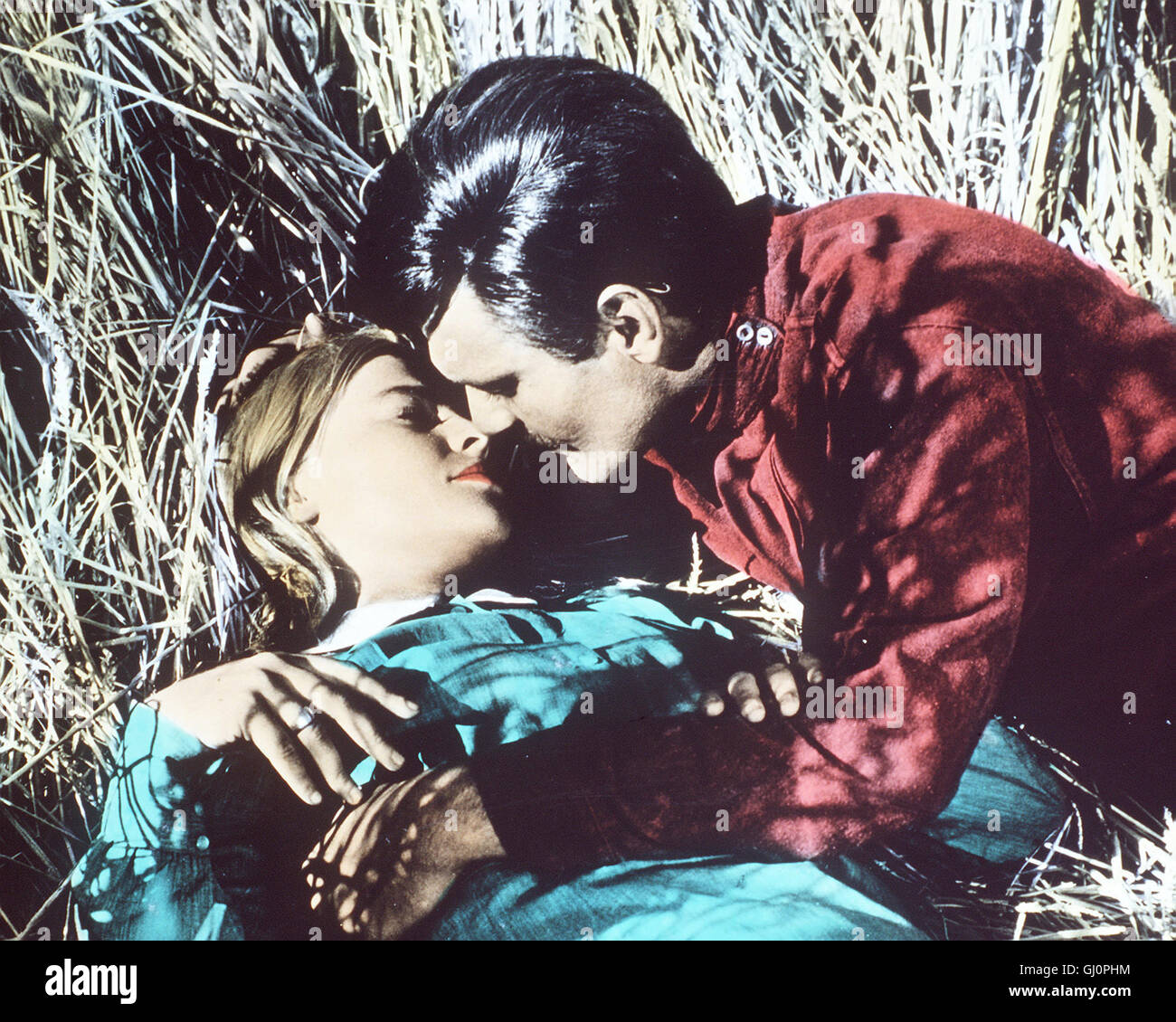 DOKTOR SCHIWAGO Doctor Zhivago USA 1965 - David Lean Im zaristischen Moskau wächst der Waise Jurij Schiwago (OMAR SHARIF) bei der großbürgerlichen Familie Gromeko auf und studiert Medizin. Er heiratet auf Wunsch seiner Pflegeeltern deren Tochter Tonya, die er zwar sehr vereehrt - jedoch nicht liebt. Zufällig kreuzen sich seine Wege immer wieder mit denen der schönen, jungen Lara (JULIE CHRISTIE), die mit dem Revolutionär Pasha verheiratet ist. Als er sie in einem Lazarett als Schwester wiedertrifft, keimt zwischen beiden eine leidenschaftliche Liebe auf. Regie: David Lean aka. Doctor Zhivago Stock Photo