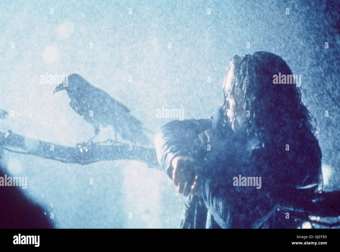 shelly the crow brandon lee