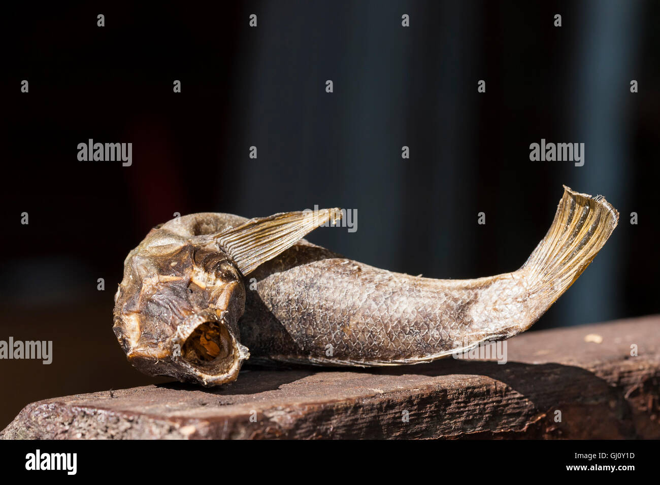 Closeup of a dried up small fish on a timber board Stock Photo