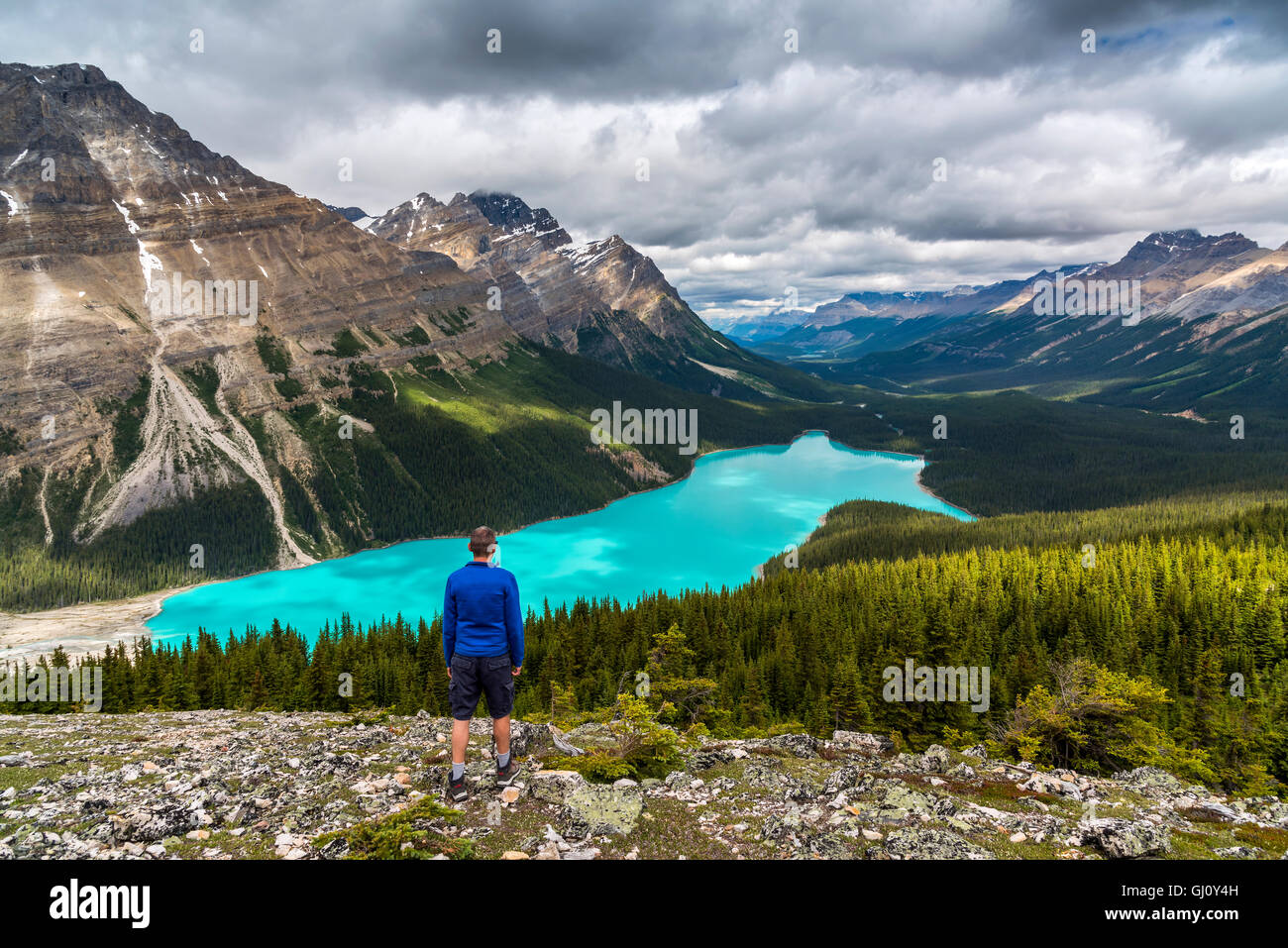 Alberta banff canada peyto lake banff national park canadian rockies hi ...