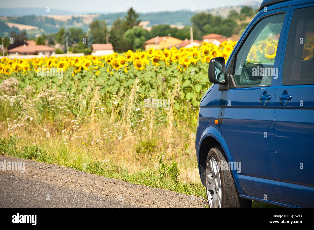 VW camper van next to a field of summer sunflowers Stock Photo