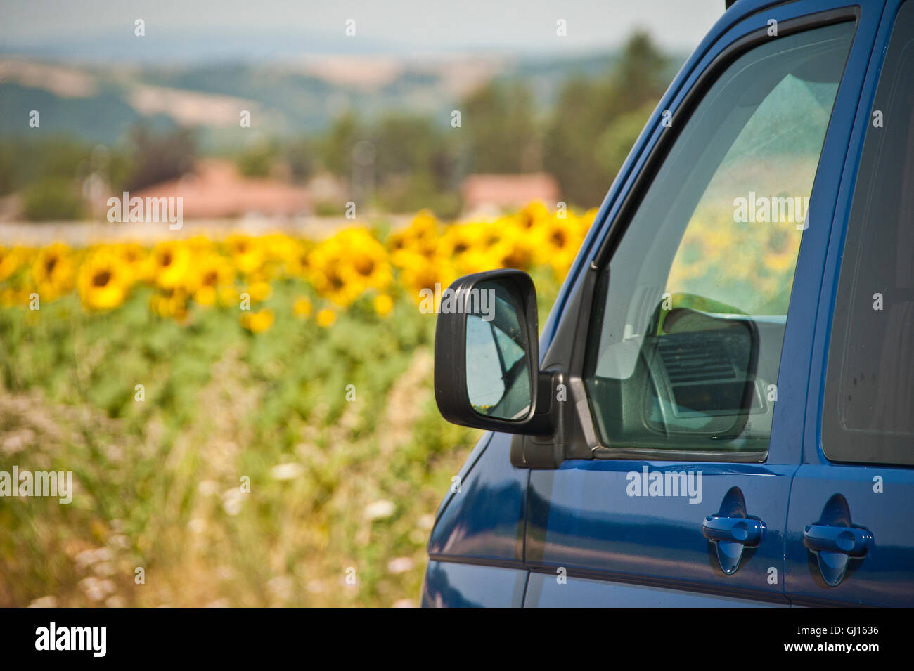 VW camper van next to a field of summer sunflowers Stock Photo