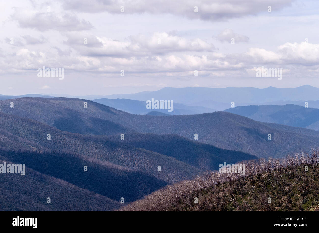 Australian alpine ranges with wildflowers in bloom with a light dusting ...