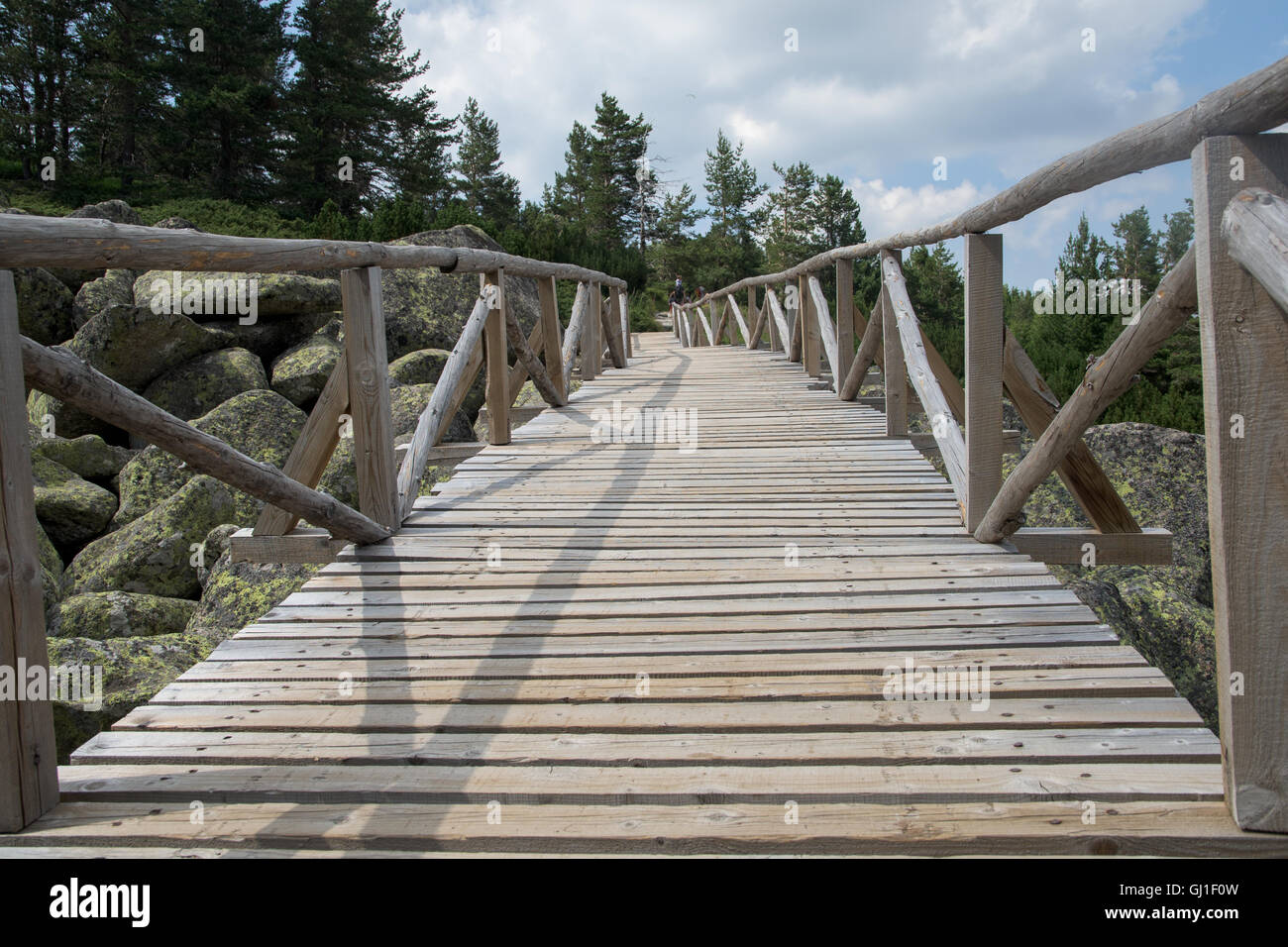 Wooden bridge in the forest hi-res stock photography and images - Alamy