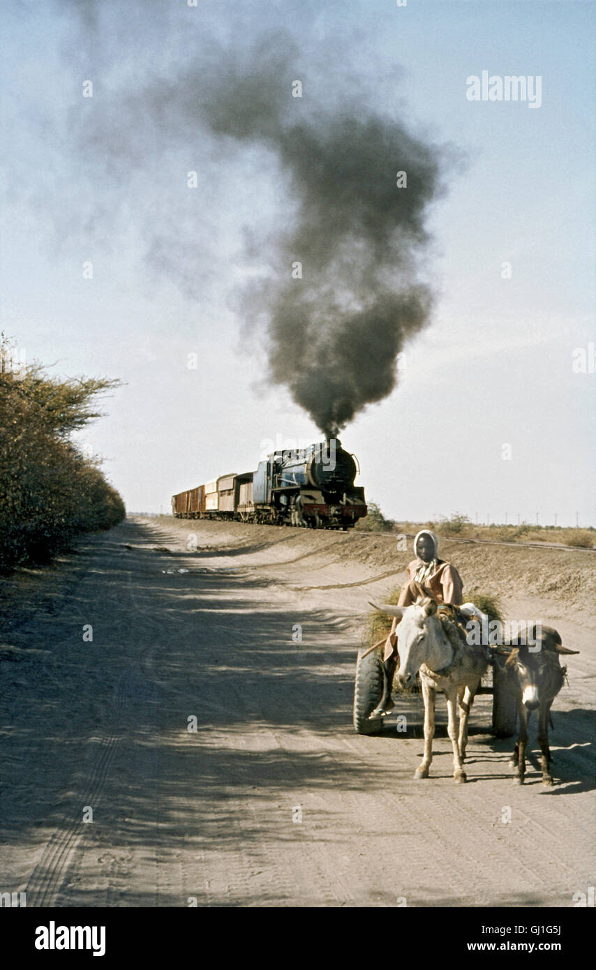 Sudan Railways 500 Class 4-8-2 No.541 overtakes a plodding donkey cart on the Kosti to Khana line. Stock Photo