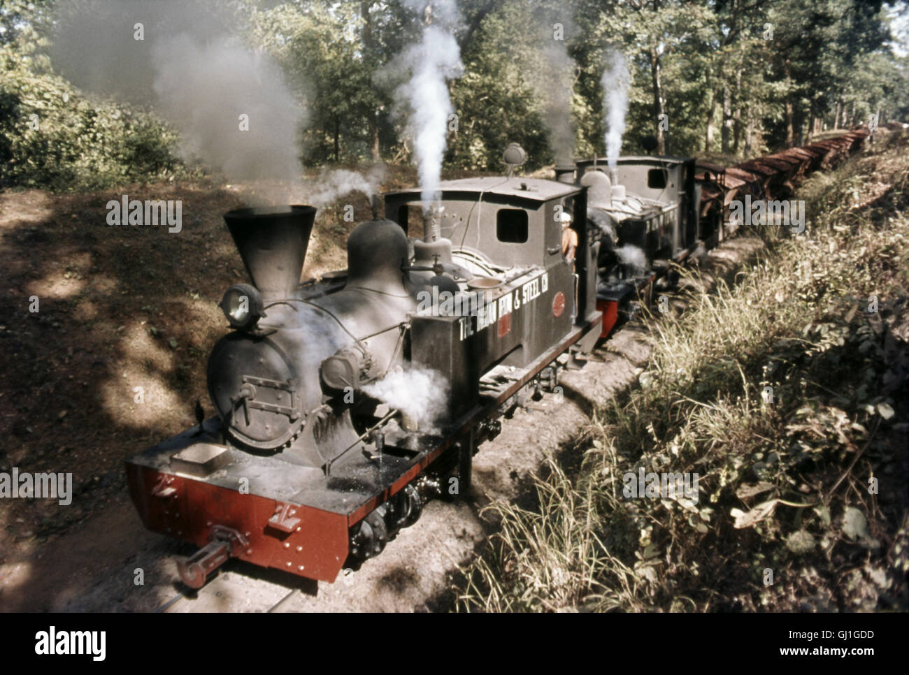 A pair of Andrew Barclay 0-4-2Ts, built in Kilmarnock, Trundle a loaded rake of ironstone through the Bihar jungle at Manoharpur Stock Photo