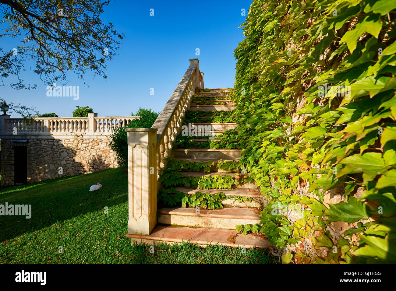 Spanish real estate of Mediterranean seashore, Mallorca Stock Photo Alamy