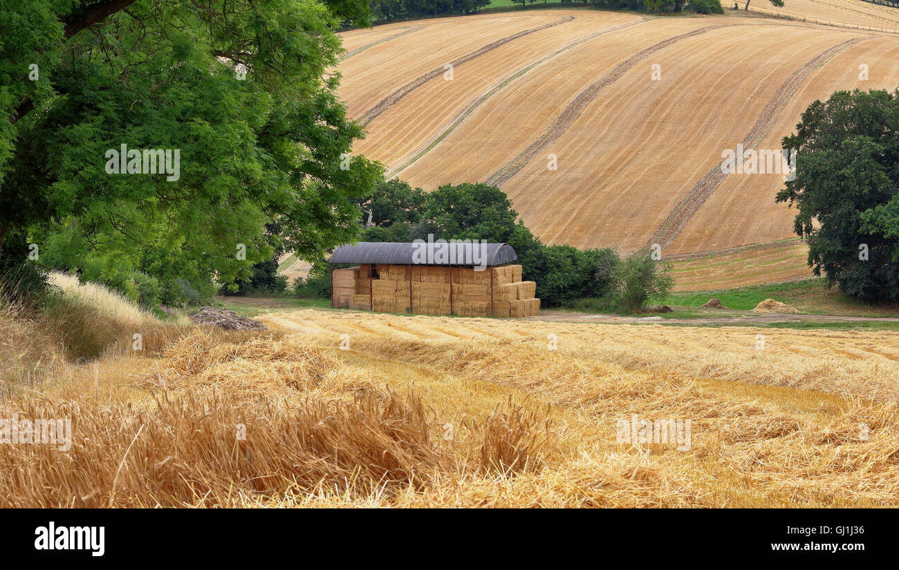 English rural landscape hi-res stock photography and images - Alamy