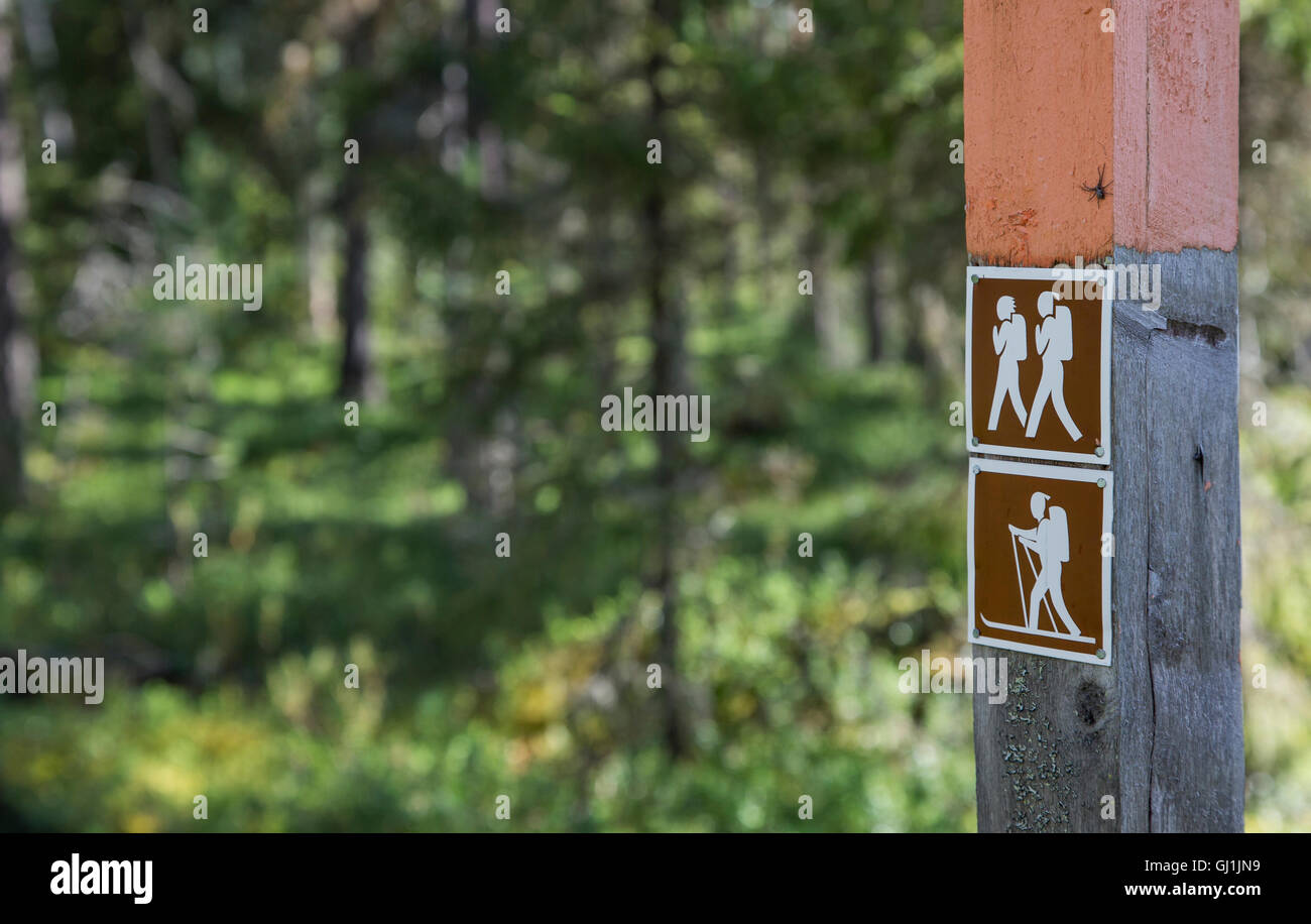 Forest nature trail sign in a forest of Lapland, Finland Stock Photo