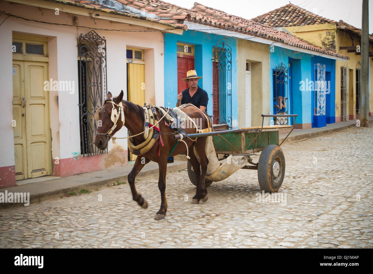 Man in horse-drawn cart, Trinidad, Cuba, 2013 Stock Photo