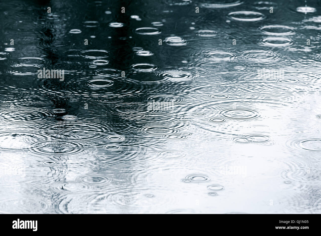 sidewalk with puddles of water and trees reflection Stock Photo