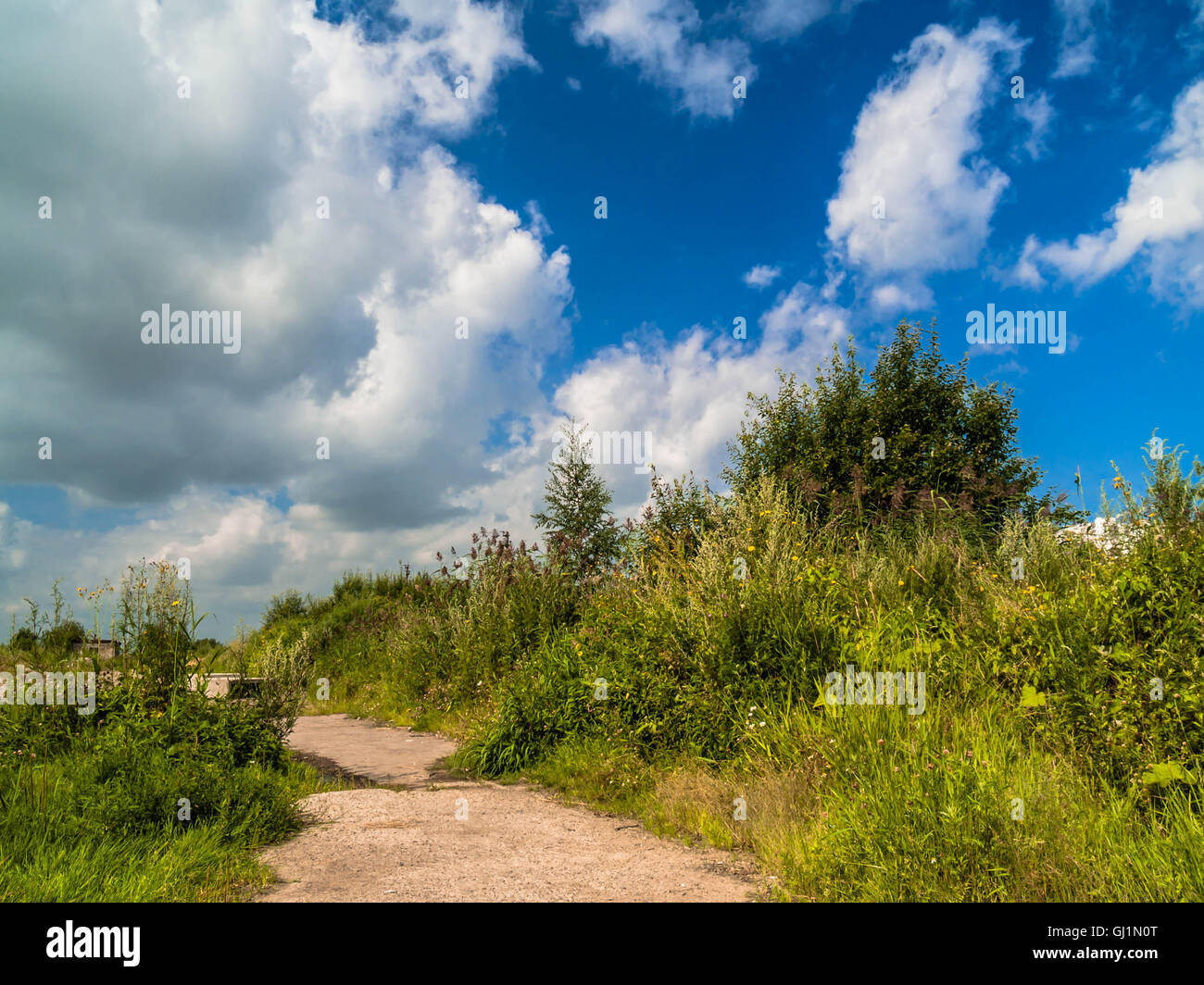 Summer landscape with dirt road runs along a hill overgrown with tall grass in the village. Hill covered with green grass agains Stock Photo