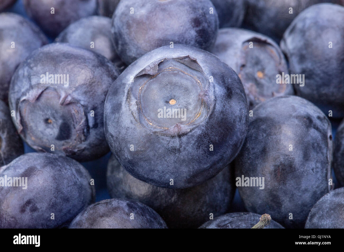 Ripe and Fresh Blueberries On A White Background Stock Photo