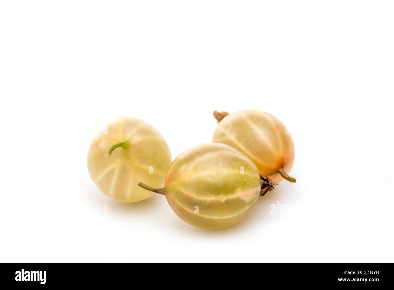 Gooseberry Stock Photo