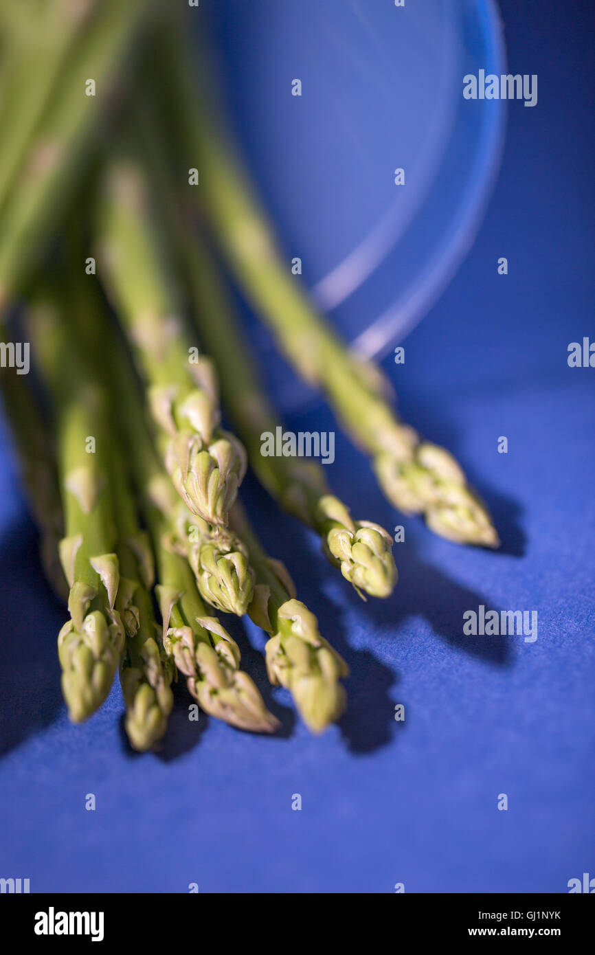 Bunch of asparagus Stock Photo