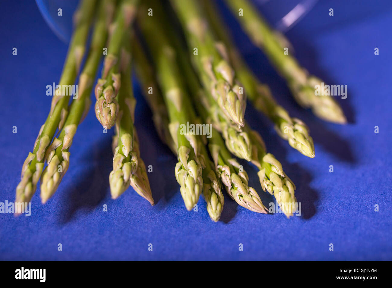 Bunch of asparagus Stock Photo Alamy