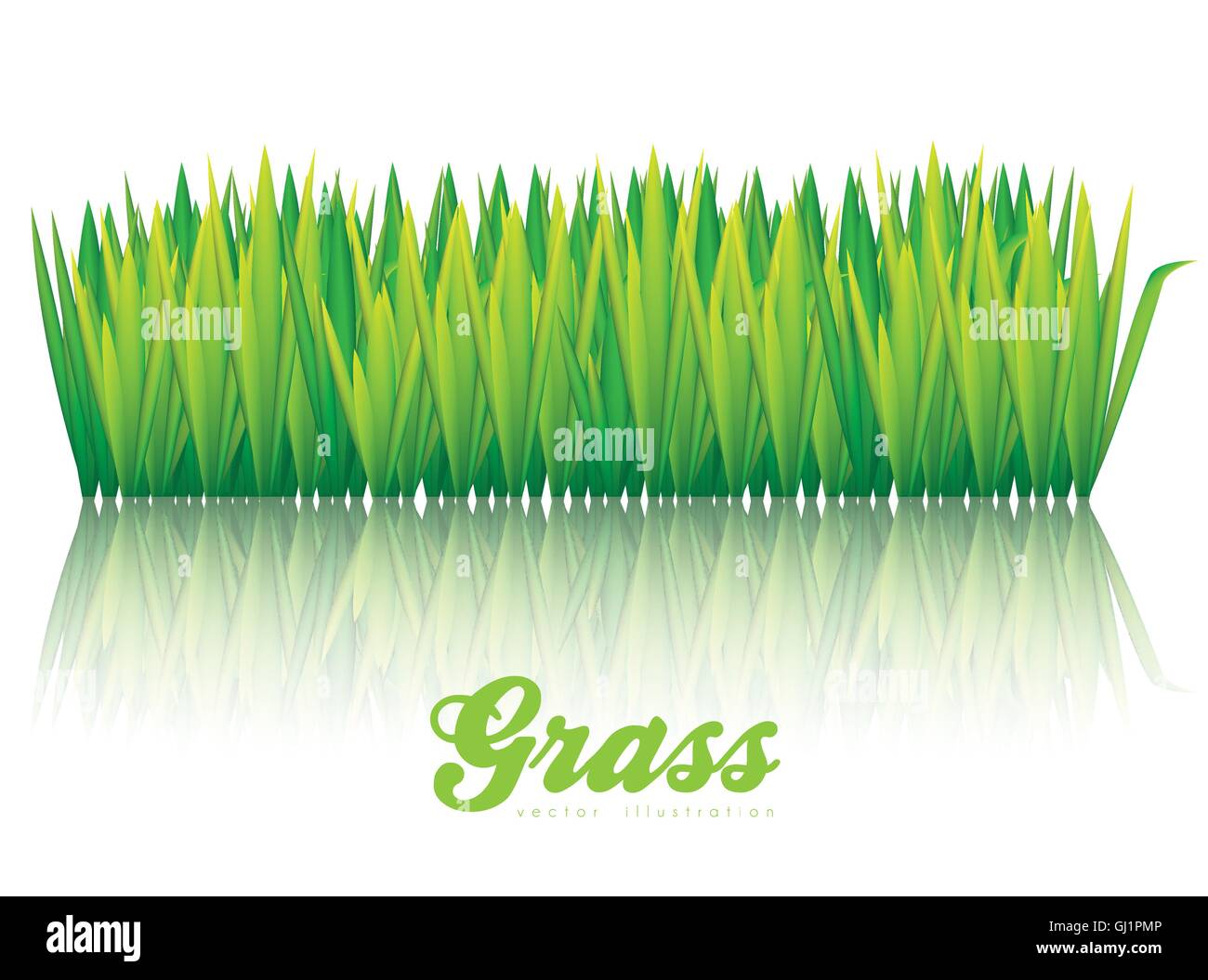 illustration of green grass isolated on white background vector Stock ...