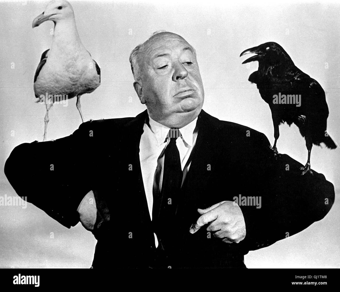 ALFRED HITCHCOCK (Bild aus dem Film 'Die Vögel') - the Master of Suspense. Film Still - Portrait with birds Regie: Tim Kirby Stock Photo