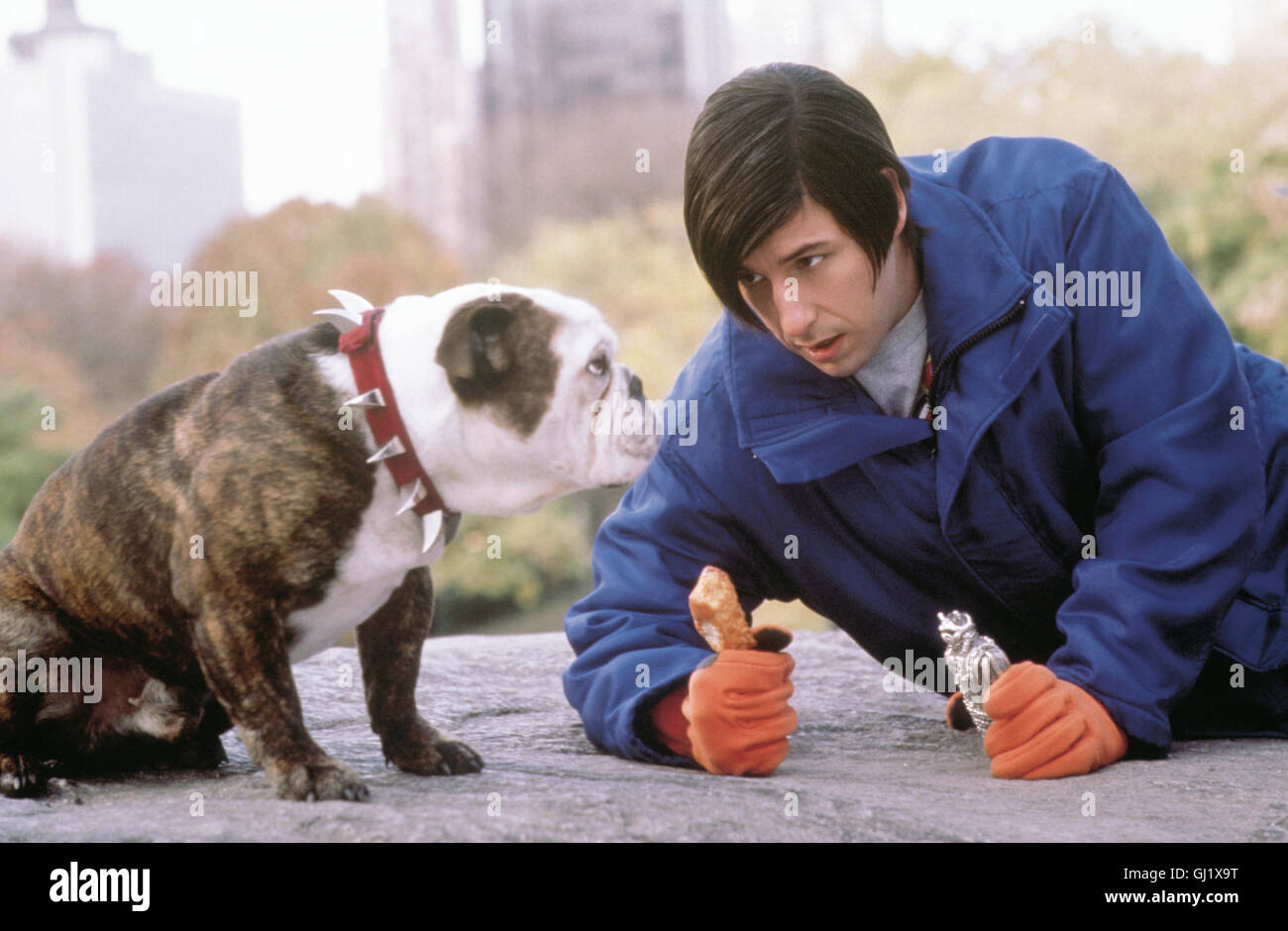 LITTLE NICKY - SATAN JUNIOR USA 2000 - Steven Brill Nicky (ADAM SANDLER) lebt in der Hölle und sein Vater ist der Teufel. Nickies Vater will, daß Nicky auf der Erde seine Brüder sucht, die dort ihre eigene kleine Höllenshow abziehen. Nicky ist ein eher tolpatschiger Jüngling und seine einzige Unterstützung bei seiner Mission ist sein vierpfotiger Berater, die Bulldogge 'Beefy'. Als sich Little Nicky auch noch in die schüchterne Studentin Valerie verliebt, wird seine hÜllische Aufgabe, seine Brüder in die Hölle zurückzuholen, noch komplizierter... Regie: Steven Brill Stock Photo