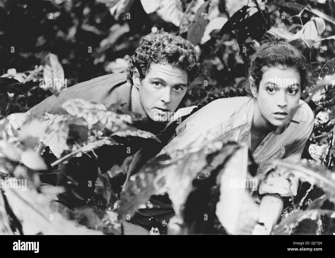 DAS DINOSAURIER-BABY - DAS GEHEIMNIS EINER VERLORENEN LEGENDE- Das Forscherehepaar Susan Matthews-Loomis (SEAN YOUNG) und George Loomis (WILLIAM KATT) hat im afrikanischen Urwald einen Brontosaurier und sein Junges entdeckt. Doch auch Gangster sind hinter dem einmaligen Fund her. Die Forscher machen sich daran das Dinobaby zu retten... Regie: B. W. L. Norton aka. Baby - The Secret Of The Lost Legend Stock Photo